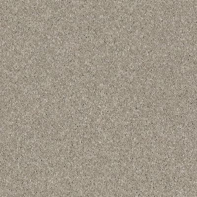 Shaw Floors Value Collections Luminous Net Morning Dew 00116_E9569
