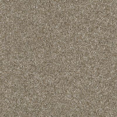 Shaw Floors Value Collections Virtual Gloss Net Granola 00113_E9570