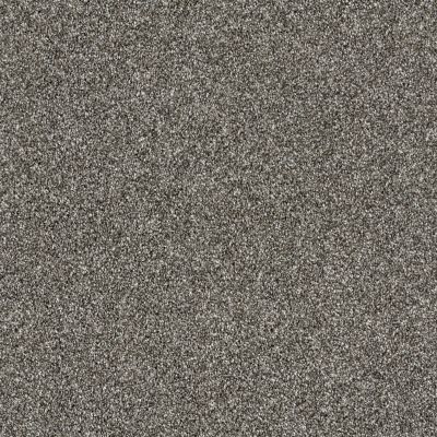 Shaw Floors Value Collections Virtual Gloss Net Plaster 00511_E9570