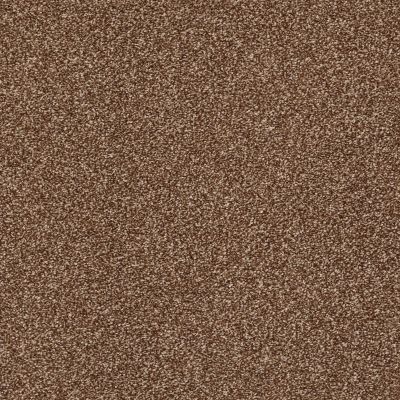 Shaw Floors Simply The Best Super Buy 45 Henna 00704_E9599