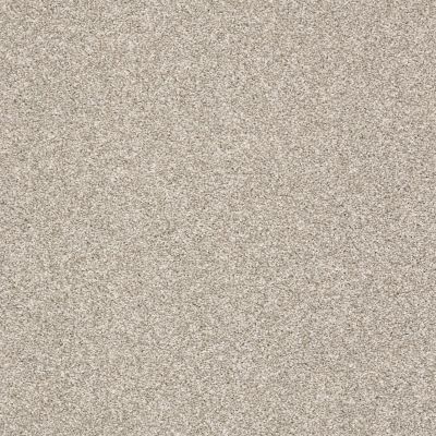 Shaw Floors Simply The Best Super Buy 55 Alpaca 00500_E9600