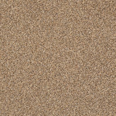 Shaw Floors Simply The Best Super Buy 55 Natural Wood 00701_E9600