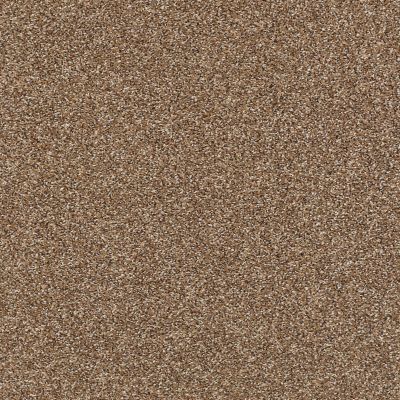 Shaw Floors Simply The Best Super Buy 55 Chestnut 00703_E9600