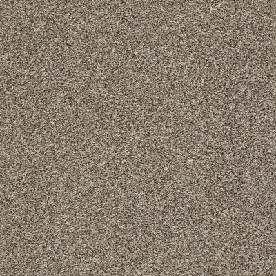 Shaw Floors Simply The Best Super Buy 65 Dappled 00501_E9601