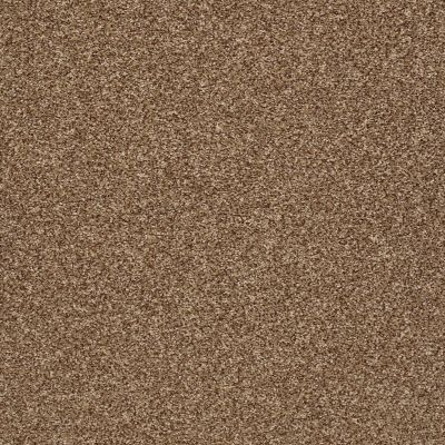 Shaw Floors Simply The Best Super Buy 65 Spruce 00702_E9601