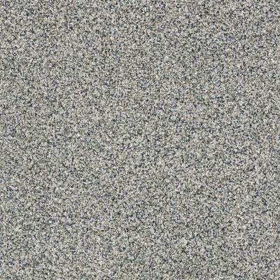 Shaw Floors Value Collections 300sl 12′ Net Peaceful Mood 00420_E9609