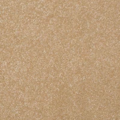 Shaw Floors Value Collections Passageway I 15 Net Butter 00200_E9620