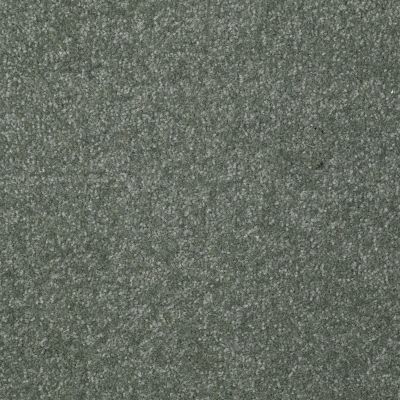 Shaw Floors Value Collections Passageway I 15 Net Ocean View 00306_E9620