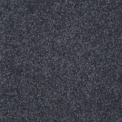 Shaw Floors Value Collections Passageway I 15 Net Denim 00401_E9620