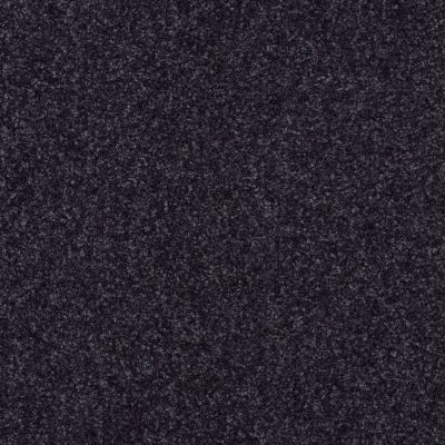 Shaw Floors Value Collections Passageway I 15 Net Midnight Sky 00407_E9620
