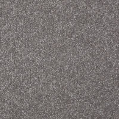 Shaw Floors Value Collections Passageway I 15 Net Pewter 00501_E9620