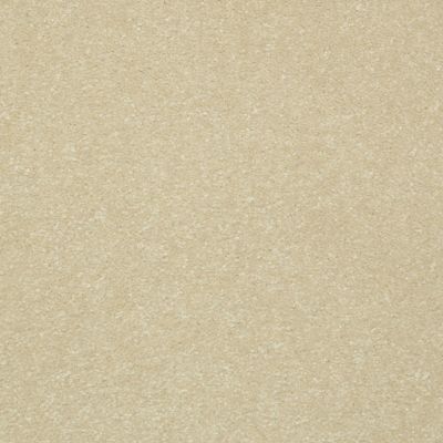 Shaw Floors Value Collections Passageway II 15 Net Cream 00101_E9621