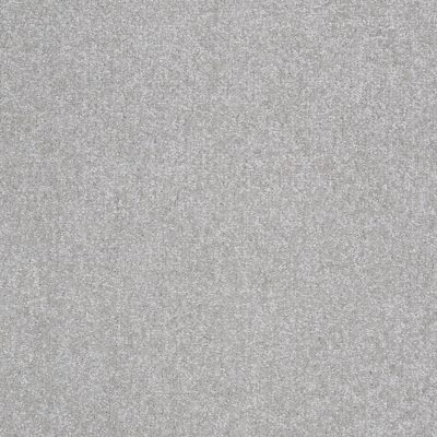 Shaw Floors Value Collections Passageway II 15 Net Masonry 00110_E9621