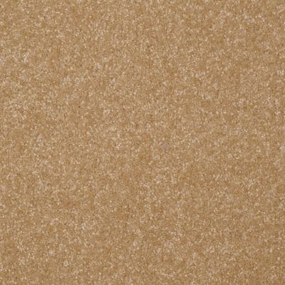 Shaw Floors Value Collections Passageway II 15 Net Straw Hat 00201_E9621