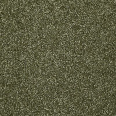 Shaw Floors Value Collections Passageway II 15 Net Sage Leaf 00302_E9621