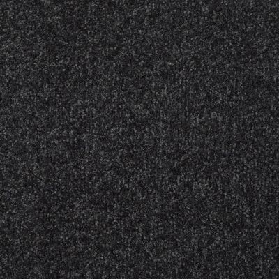 Shaw Floors Value Collections Passageway II 15 Net Blue Spruce 00307_E9621