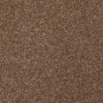 Shaw Floors Value Collections Passageway II 15 Net Jute 00703_E9621