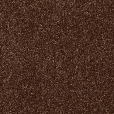 Shaw Floors Value Collections Passageway II 15 Net Mocha Chip 00705_E9621