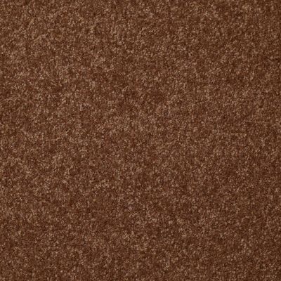 Shaw Floors Value Collections Passageway II 15 Net Toasty 00710_E9621