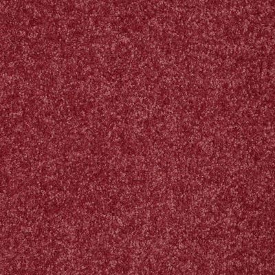 Shaw Floors Value Collections Passageway II 15 Net Blush 00802_E9621