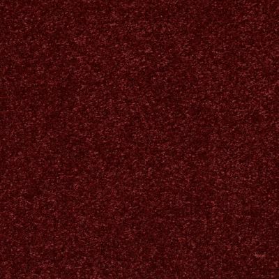 Shaw Floors Value Collections Passageway II 15 Net Faded Brick 00803_E9621