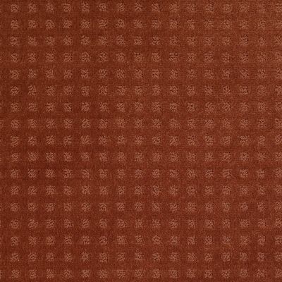 Shaw Floors Wolverine Vii Aged Copper 00600_E9622
