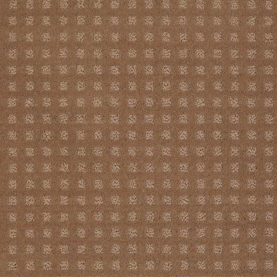 Shaw Floors Wolverine Vii Townhouse Taupe 00705_E9622