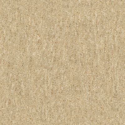 Shaw Floors Foundations Natural Balance 15 Jute 00102_E9635
