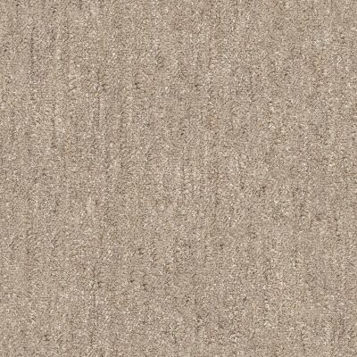 Shaw Floors Foundations Natural Balance 15 Slate 00500_E9635