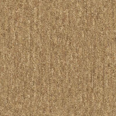 Shaw Floors Foundations Natural Balance 15 Basketry 00700_E9635
