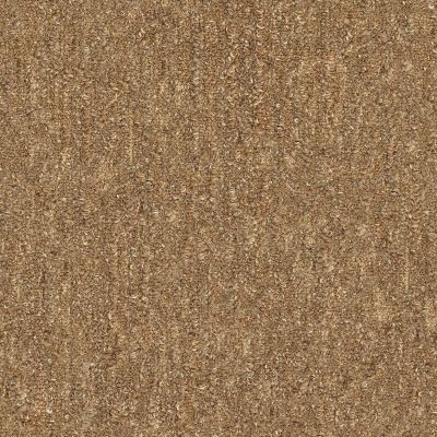 Shaw Floors Foundations Natural Balance 15 Birch 00702_E9635