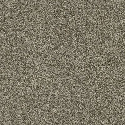 Shaw Floors Bellera Just A Hint I Dreamy Taupe 00708_E9640