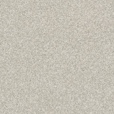 Shaw Floors Pet Perfect Plus Just A Hint II Platinum 00500_E9641