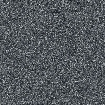 Shaw Floors Bellera Points Of Color I Denim 00402_E9642