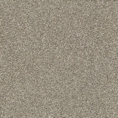 Shaw Floors Perfect Choice TEXTURE Oatmeal GF00108_E9643
