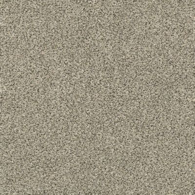 Shaw Floors Perfect Choice TEXTURE Linen GF00110_E9643