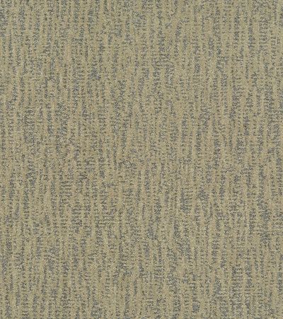 Shaw Floors Bellera Obvious Choice Chameleon 00302_E9648