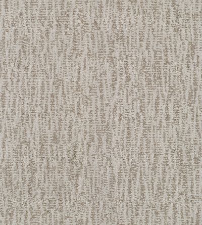 Shaw Floors Bellera Obvious Choice Platinum 00500_E9648