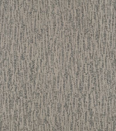 Shaw Floors Bellera Obvious Choice Sterling 00501_E9648