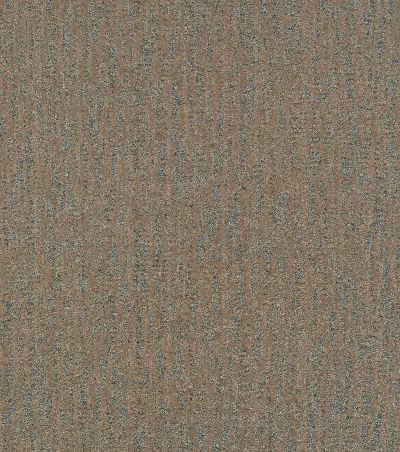 Shaw Floors Bellera Obvious Choice Bronze 00602_E9648