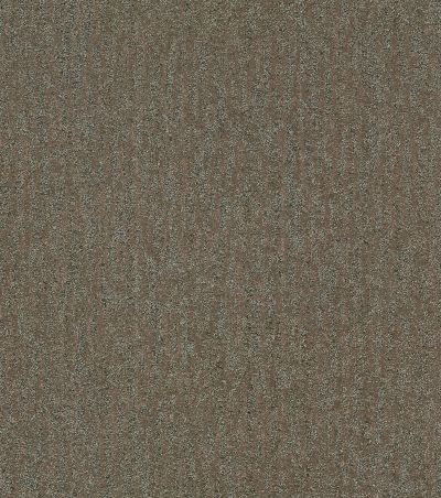 Shaw Floors Pet Perfect Plus Obvious Choice Mahogany 00702_E9648