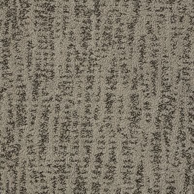 Shaw Floors Pet Perfect Plus Obvious Choice Dreamy Taupe 00708_E9648