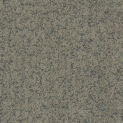 Shaw Floors Pet Perfect Plus Make Your Mark Dreamy Taupe 00708_E9649