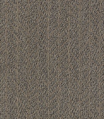 Shaw Floors Pet Perfect Plus Lead The Way Mahogany 00702_E9655