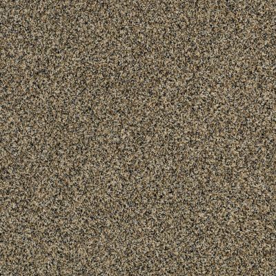 Shaw Floors Value Collections 300sl 15′ Net Vintage Brass 00221_E9667