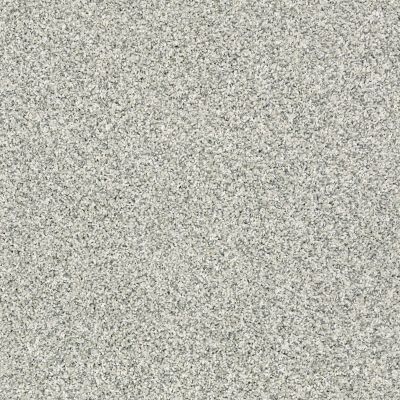 Shaw Floors Value Collections 300sl 15′ Net Sea Glass 00320_E9667