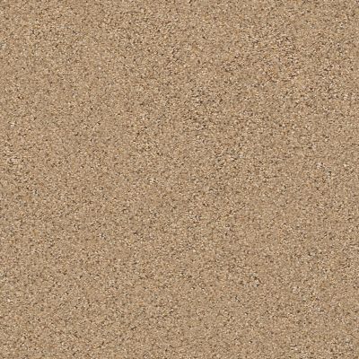 Shaw Floors Value Collections Mix It Up Net Bridle Leather 00270_E9675
