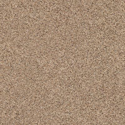 Shaw Floors Value Collections Mix It Up Net Arrowhead 00770_E9675