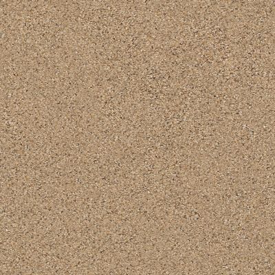 Shaw Floors Foundations Elemental Mix I Net Bridle Leather 00270_E9677