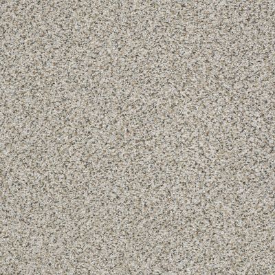 Shaw Floors Foundations Elemental Mix I Net Silver Lining 00572_E9677